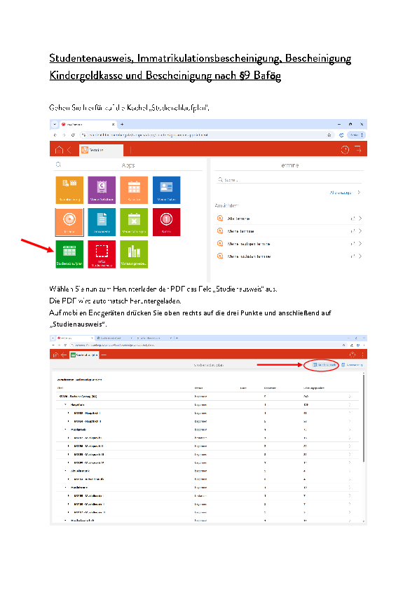 Anleitung download Studentenausweis